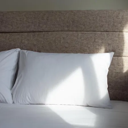 Apartment Skg Luxury